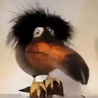 🐶