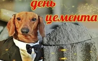 С днем ...