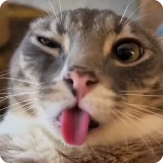 👅