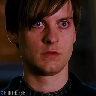 🕷