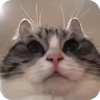 😶