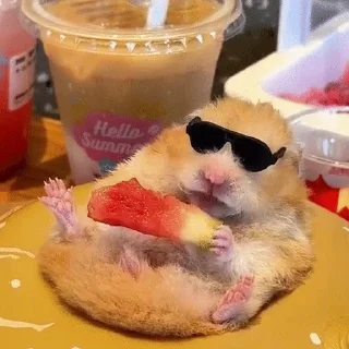 🐹