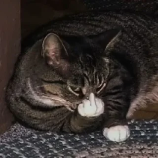 🖕