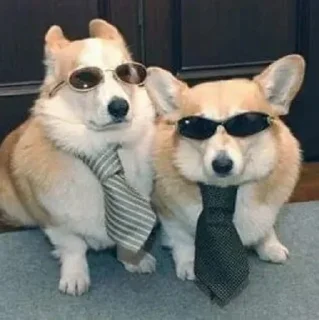 😎