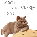 💬