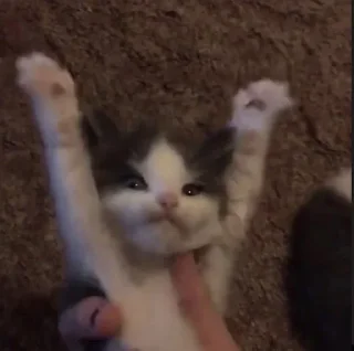 👐