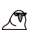 🦜