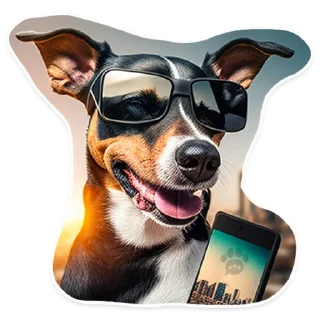 🕶