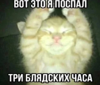 🤬