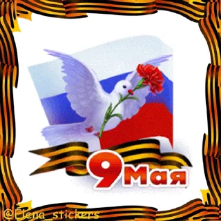 🎖