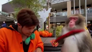 🗡