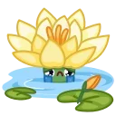 🌼