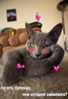😏