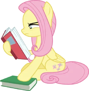 📚