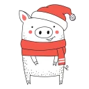 🐷