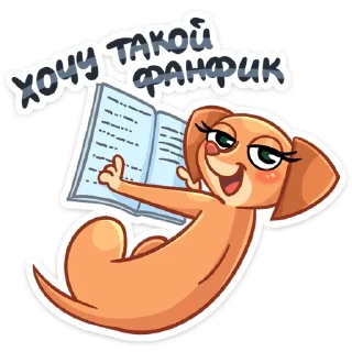 📚