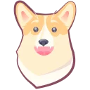 🐶