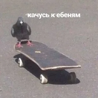 🛹
