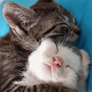 😴