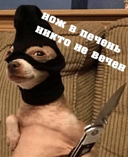 🔪