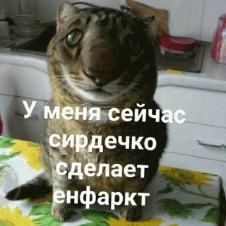 😢