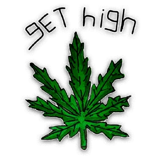 🌿