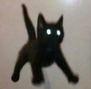 🐱