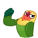 💪