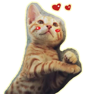❤️
