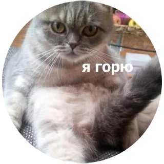 😏