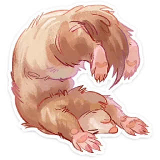 ⭐