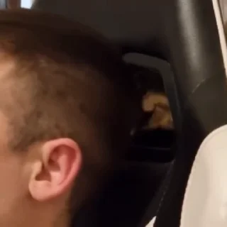 😝