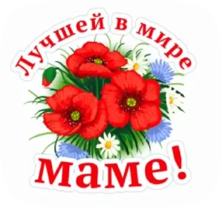 🌺