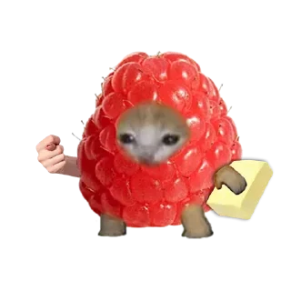 🍓