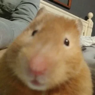 🙂