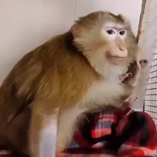 😏