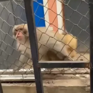 😮