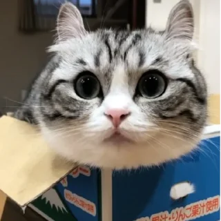 😉