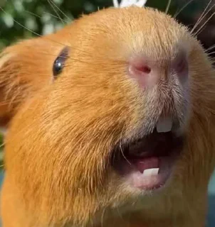 😃