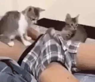 😡