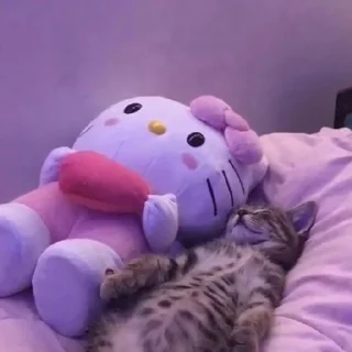 🐈
