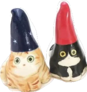 🐈