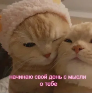 🥰