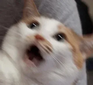 😱