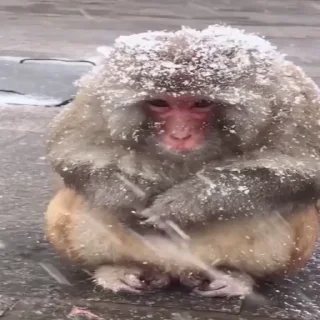 🥶