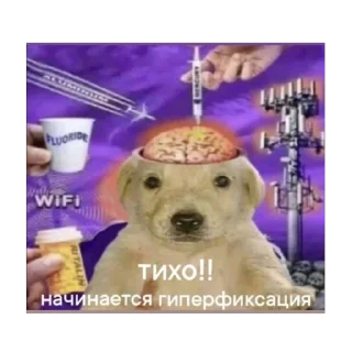 🫥