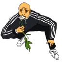 🌷