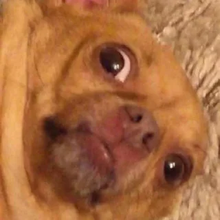 😟