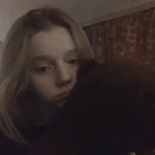 🐻