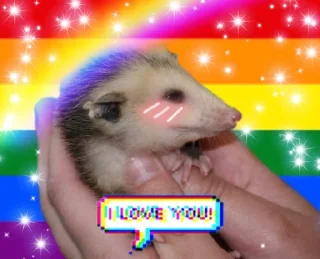 ❤️